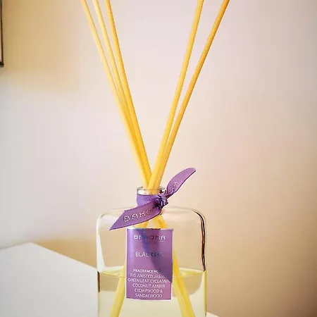 Spacious In With Pool And Terrace Appartement *